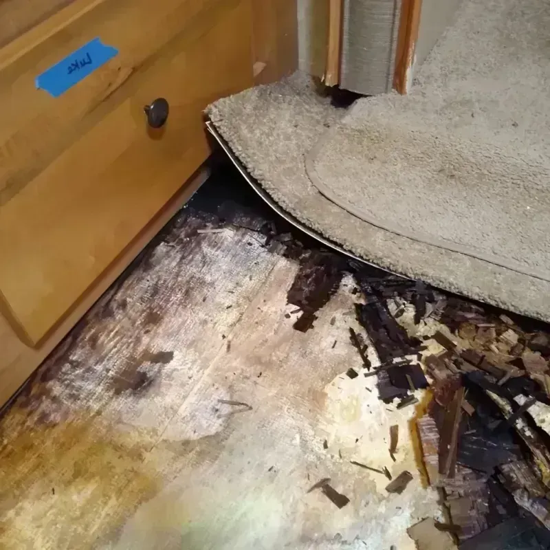 Wood Floor Water Damage in Ventura, CA